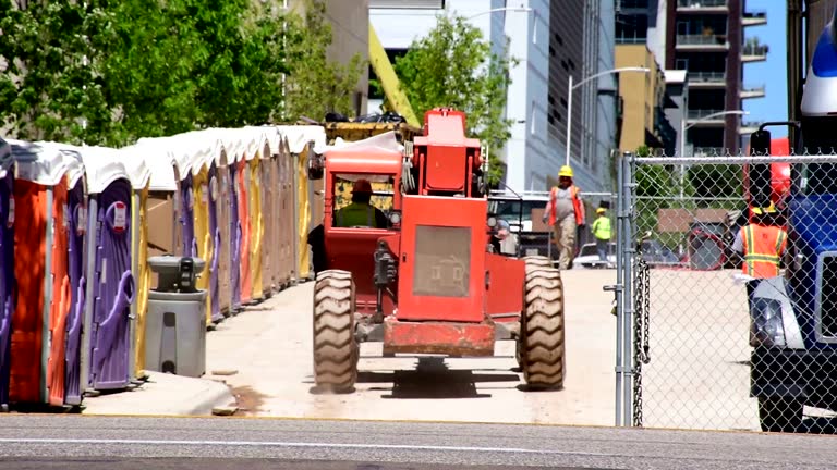 Tree and Shrub Care in Brighton, CO